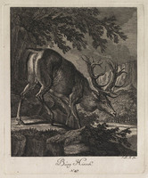 KG 01075
          <br/>
          Entwurf einiger Thiere. Dritter Theil. (18 bladen)
          <br/>
          <em>Ridinger, Johann Elias (1698-1767)</em>